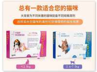 乐陵市鸿众装饰有限公司